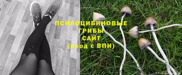 круглые Алзамай