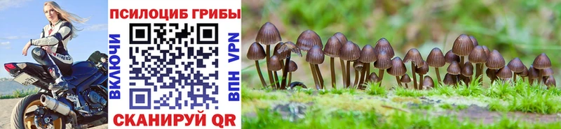 Псилоцибиновые грибы Magic Shrooms Оса